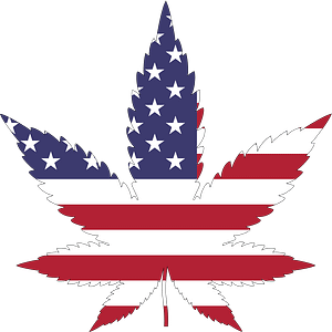 us flag with marijuana leaf