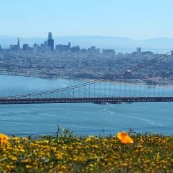 San Francisco Weed Dispensaries